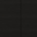 Black Wall-Mounted Cabinet with 4 Doors, Single