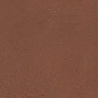 Track-Arm Top-Grain Leather Sofa, 3-Seat (Brown / Truffle / Cognac / Taupe)