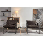 Dark Gray / Beige Velvet Accent Chair with Arm Pockets, Metal Frame, Set of 2