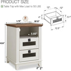 Antique White/Oak/Barnwood Farmhouse 2-Drawer Nightstand, 1-Person Use
