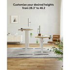 Electric Height-Adjustable Standing Desk, Light Rustic / White, Single User