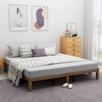 Brown & White Queen Platform Bed Frame, 2-Person, Wood Slat Support